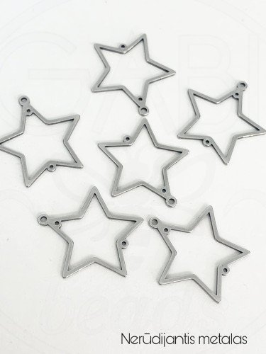 Nerūdijančio plieno pakabukas, plieno spalvos, 25,5 x 25mm mm, 1 vnt